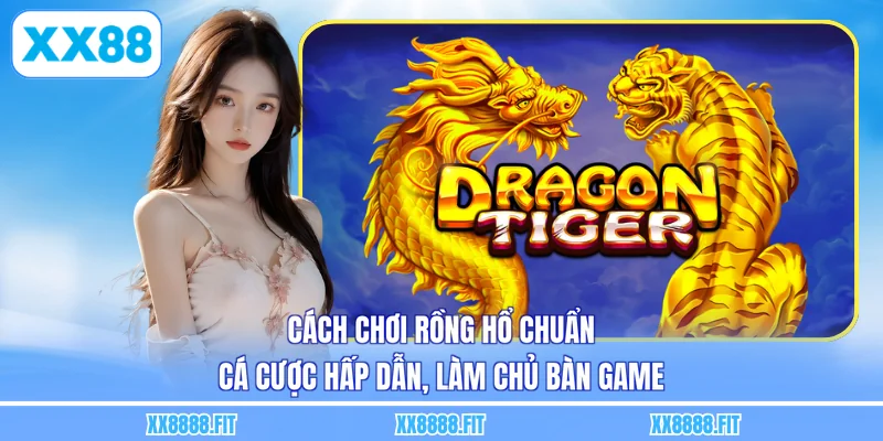 Cách Chơi Rồng Hổ Chuẩn - Cá Cược Hấp Dẫn, Làm Chủ Bàn Game