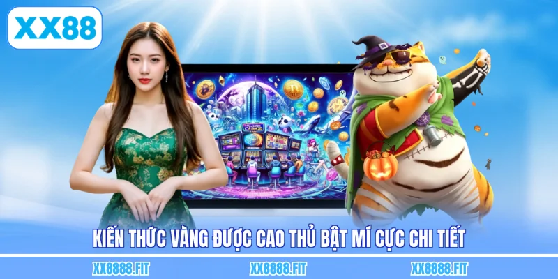 Kiến thức vàng được cao thủ bật mí cực chi tiết