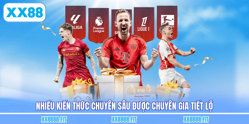 Nhiều kiến thức chuyên sâu được chuyên gia tiết lộ